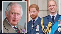 King vuole William e Harry al suo fianco per la sua incoronazione a maggio: relazione 'risolvibile'