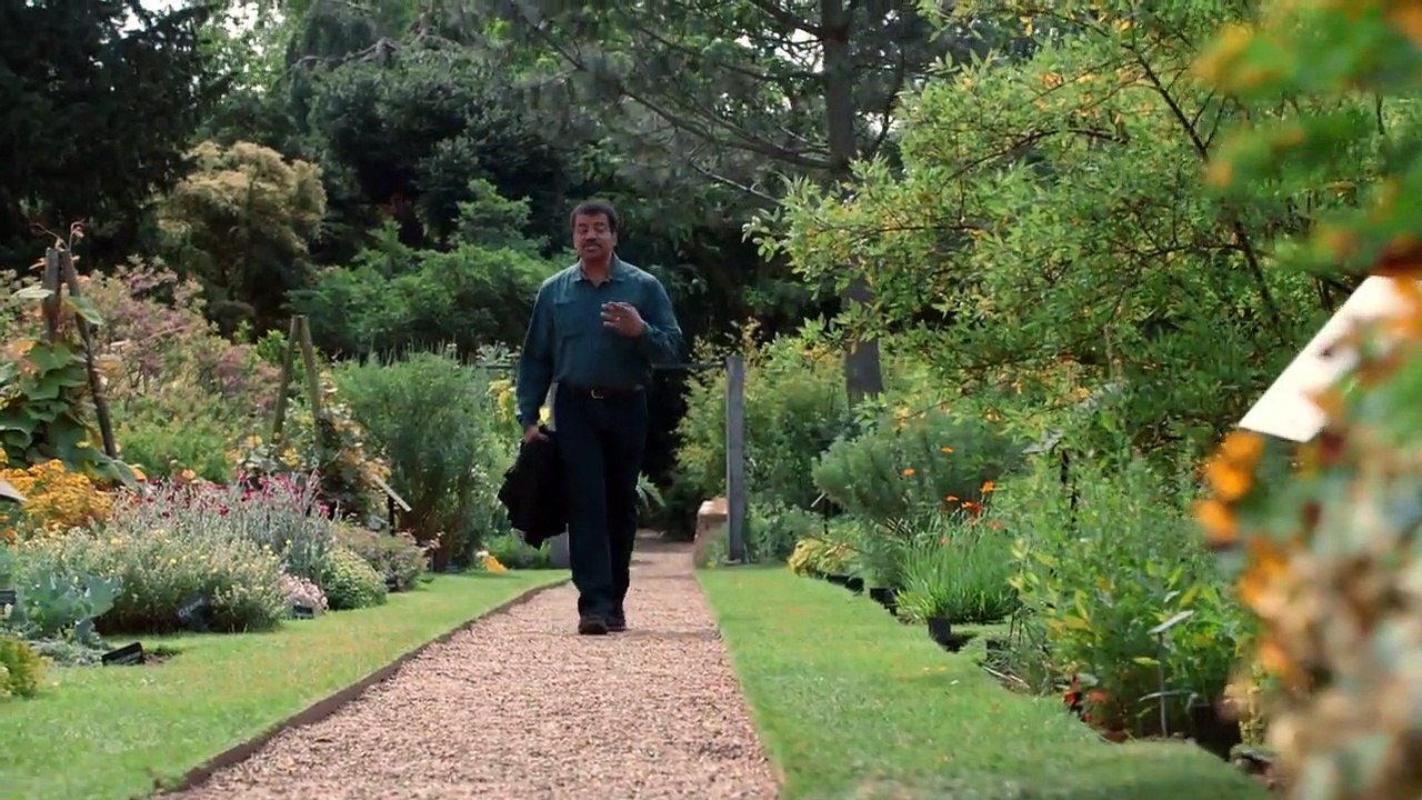 Cosmos - A Spacetime Odyssey - Se1 - Ep05 HD Watch