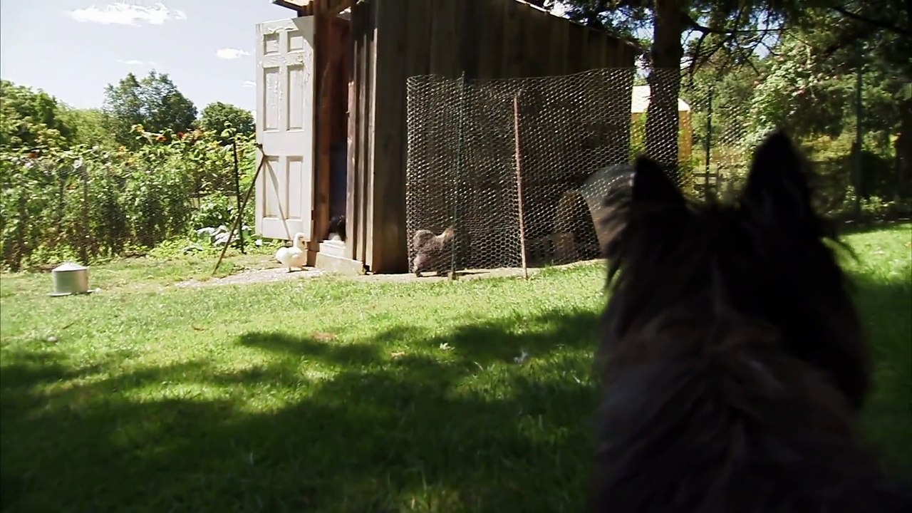 Too Cute! - Ep32 HD Watch