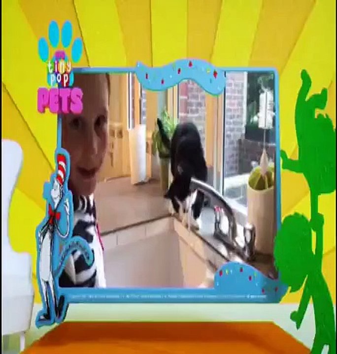 PJ Masks - Se1 - Ep47 HD Watch