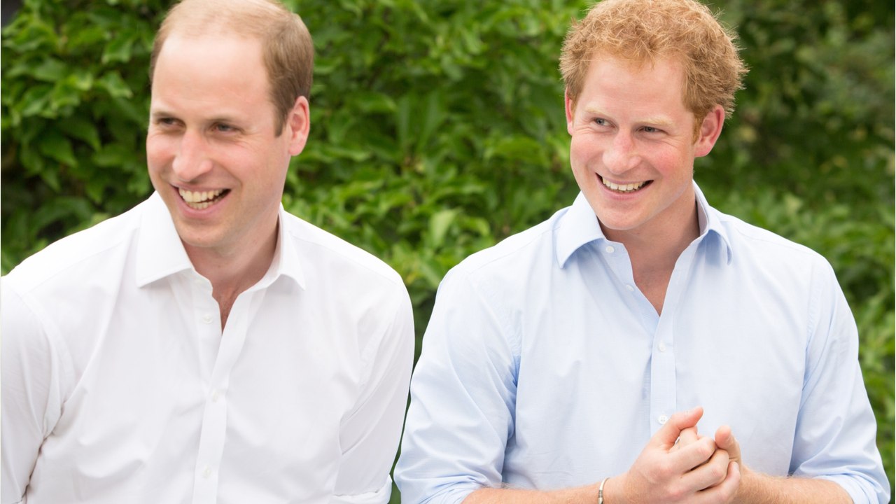 Prince William and Prince Harry’s feud may have started during their childhood