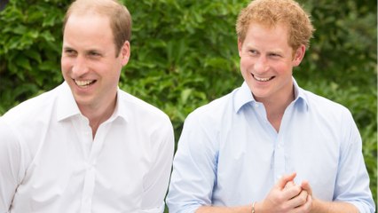 Prince William and Prince Harry’s feud may have started during their childhood