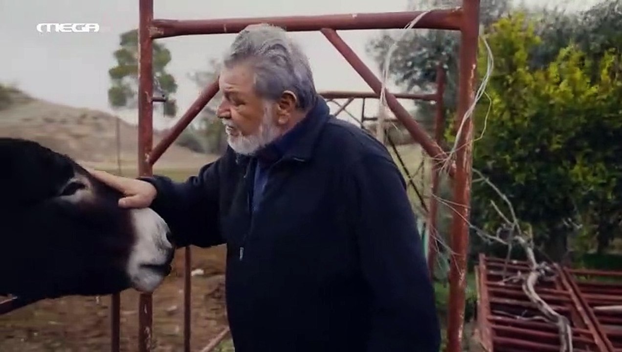 Η Γη της Ελιάς- Επεισόδιο 79 part 1/1