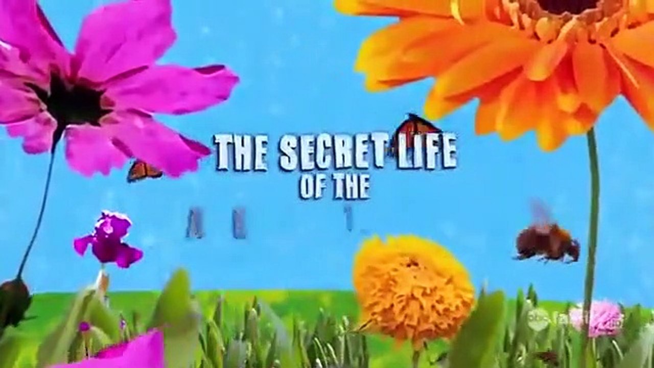 The Secret Life of the American Teenager - Se2 - Ep12 - Be My, Be My Baby HD Watch