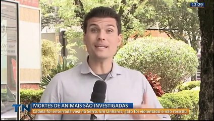 Mortes de animais são investigadas no ES