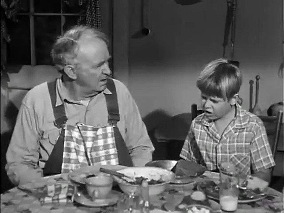 The Real McCoys - Se1 - Ep38 HD Watch