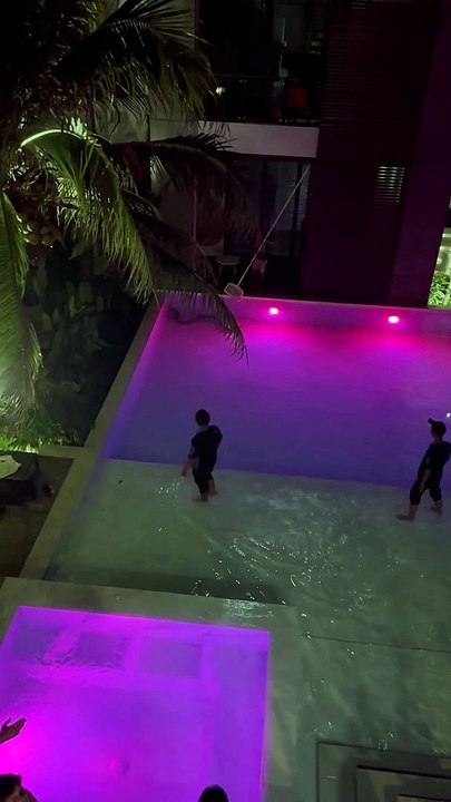Giant Snake in the Pool