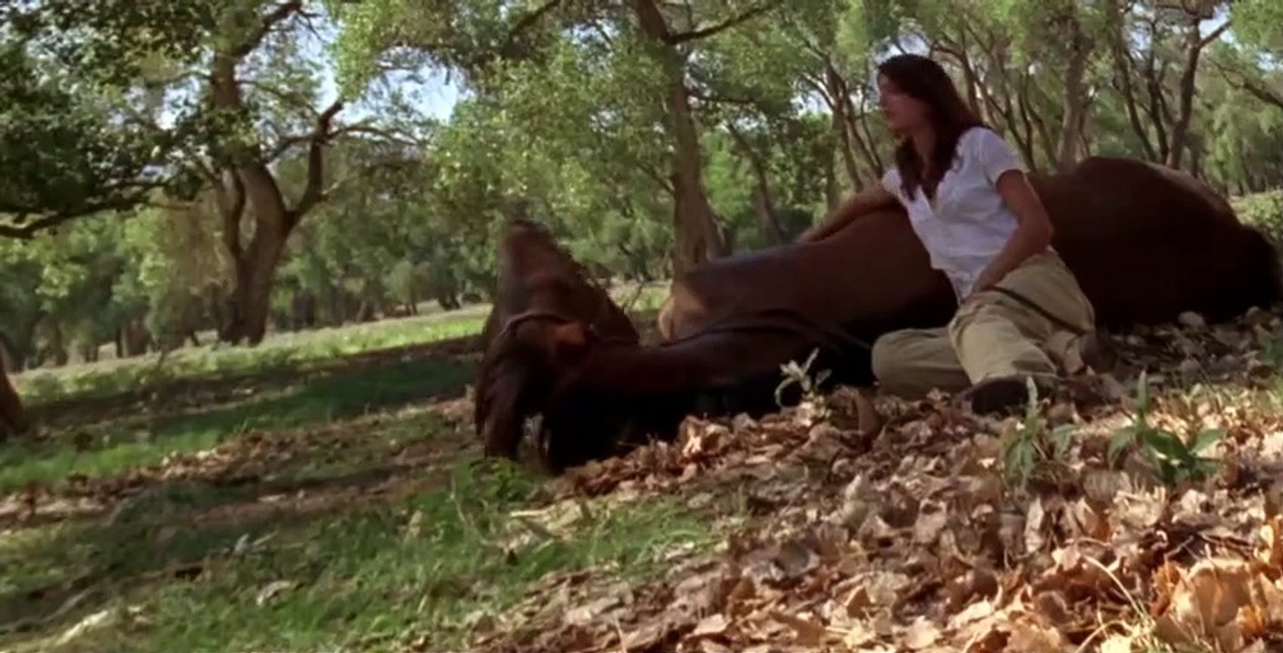Wildfire S03 E01