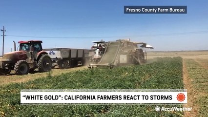 'White gold:' California farmers react to recent storms