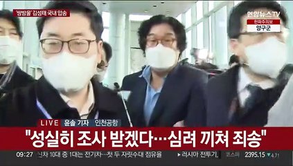김성태 전 쌍방울 회장 국내 압송 "심려 끼쳐 죄송"