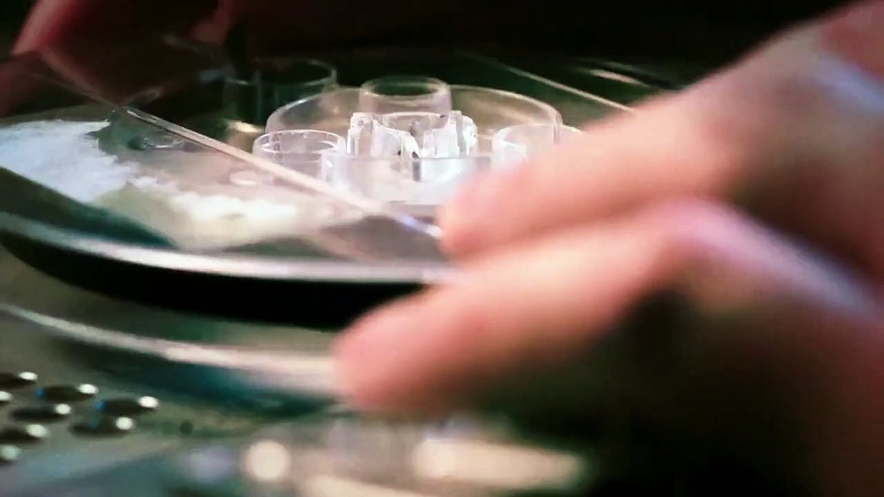 The Holzer Files - Se2 - Ep06 - Blood in the Water HD Watch