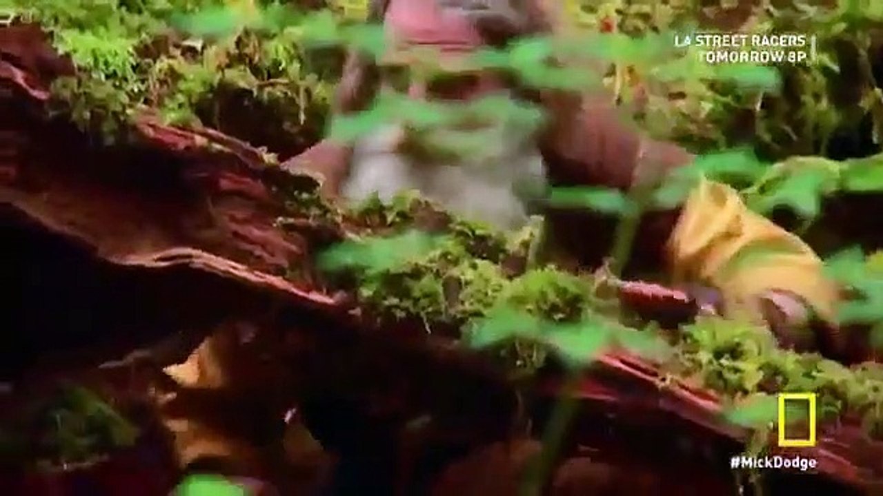 The Legend Of Mick Dodge - Se1 - Ep05 HD Watch