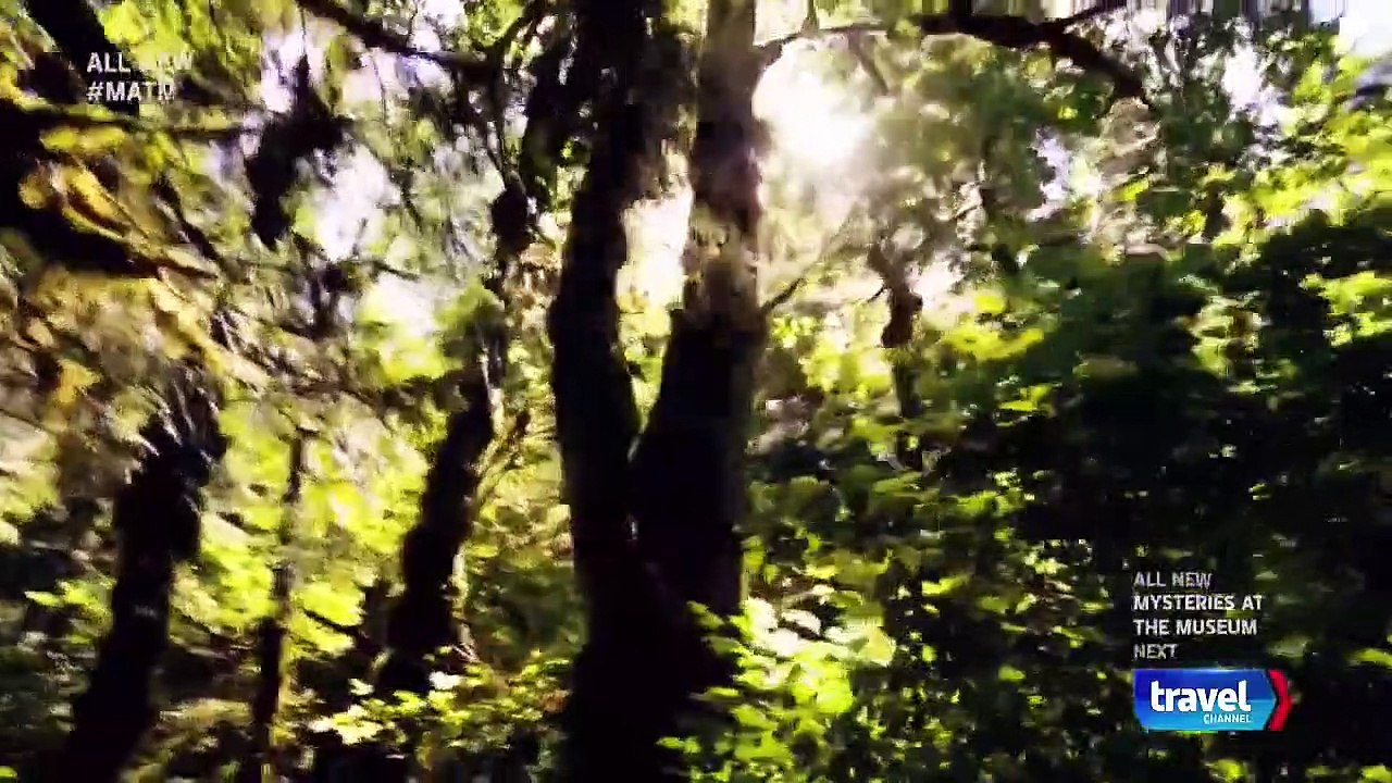 Mysteries at the Museum - Se21 - Ep12 - Trr on the Tracks; the Ape and the Child; Body in the Bog HD Watch