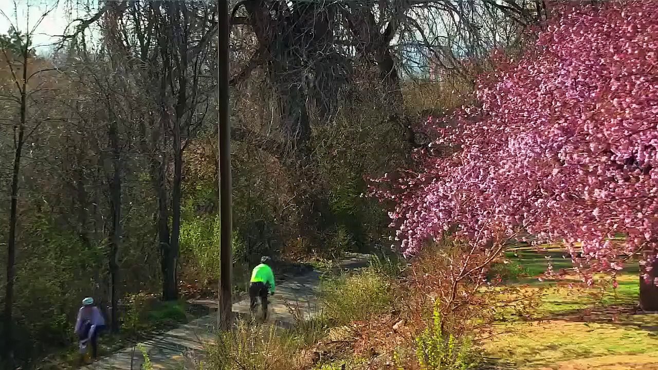 Mysteries at the Museum - Se22 - Ep0 - First Time Explorers HD Watch