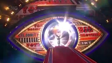 Celebrity Big Brother - Se17 - Ep37 HD Watch