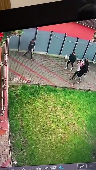Security Dog Protects His Castle