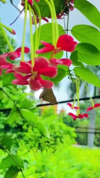 .#love #instagood #like #follow #instagram #photography #photooftheday #beautiful #fashion #bhfyp ...likes #instadaily #nature #me #style #followme #likes #beauty #instalike #followforfollowback #photo #music #travel #model