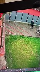 Security Dog Protects His Castle
