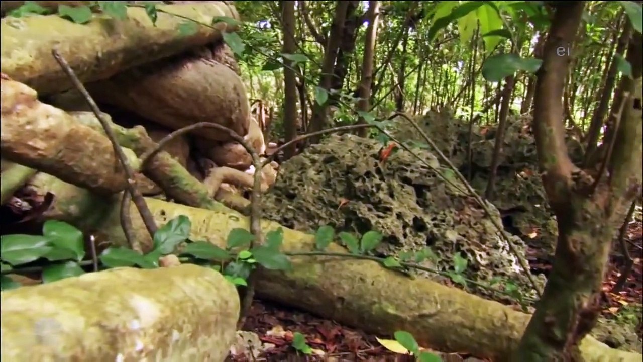 Earth Odyssey with Dylan Dreyer - Se2 - Ep09 - Zanzibar HD Watch