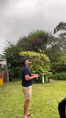 Feeding the Kites in the Backyard