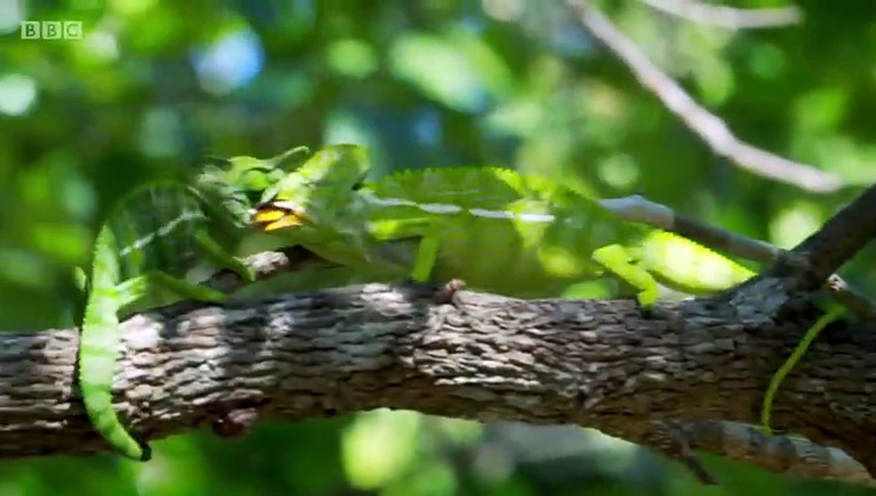 Earth's Tropical Islands - Se1 - Ep01 - Madagascar HD Watch