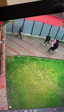 Security Dog Protects His Castle