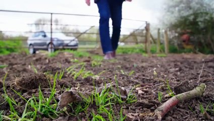 Expert Witness - Se1 - Ep05 Pollen in a Field and Fibres in a Car Crash HD Watch