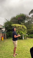 Feeding the Kites in the Backyard