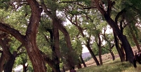 Wildfire S04 E12