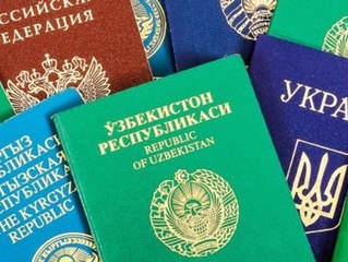 Grasgrün und Co.: Das bedeuten die Farben der Reisepässe