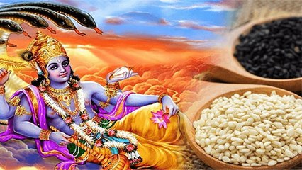 Shattila Ekadashi 2023 : षटतिला एकादशी पर क्या करें क्या ना करें। Shattila Ekadashi Kya Kare Kya Ni।