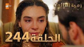 مسلسل زهرة الثالوث - الحلقة 244 | مدبلج | الموسم الثاني