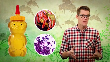 How Do Bees Make Honey