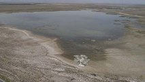 Konya ovası'nın yer altı su seviyesi 50 metre geriledi
