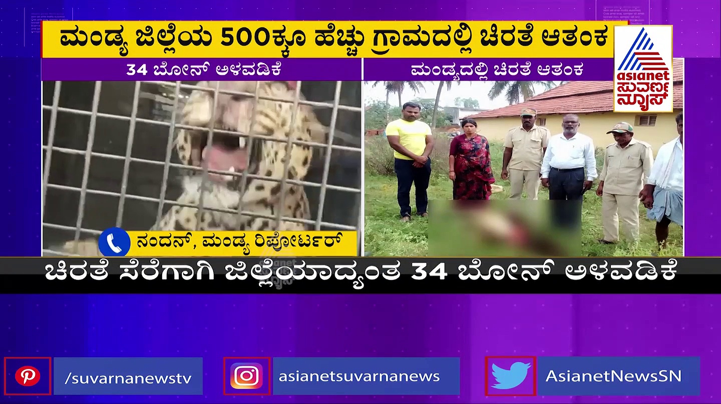 ಮಂಡ್ಯದಲ್ಲಿ ಹೆಚ್ಚಾಯ್ತು ಚಿರತೆಯ ಹಾವಳಿ: 500 ಗ್ರಾಮಗಳಲ್ಲಿ ಆತಂಕ