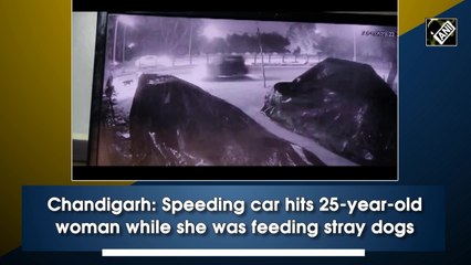 Chandigarh: Speeding car hits 25-year-old woman while she was feeding stray dogs