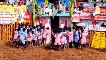 Jallikattu Palamedu : प्रथम को कार, तीसरे विजेता की गई जान