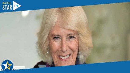 Mémoires du prince Harry : Charles III et Camilla gardent le sourire malgré les révélations