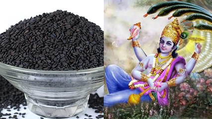 Shattila Ekadashi 2022: षटतिला एकादशी व्रत तिल के बिना क्यों है अधूरा, जाने क्या है तिल का महत्व