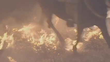 San Bartolomé de Pinares recupera sus reconocidas "luminarias"