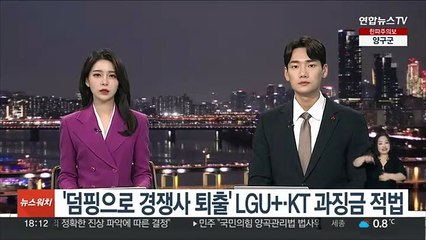 '덤핑으로 경쟁사 퇴출' LGU+·KT 과징금 적법