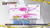 24시간 내에 전신에 흡수되는 ✦저분자 콜라겐 펩타이드✦ TV CHOSUN 230117 방송