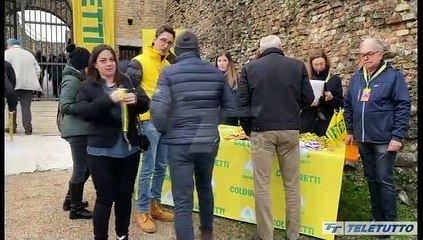 In piazza con noi - Puntata 232 - LONATO DEL GARDA