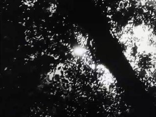 Rashômon -1950- Part 1 HD VOST