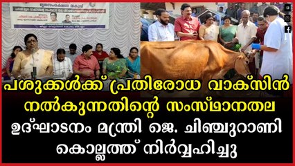 പശുക്കൾക്ക് പ്രതിരോധ വാക്സിൻ: ഒരു മാസത്തിനുളളിൽ വാക്സിനേഷൻ പൂർത്തിയാക്കും