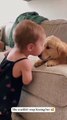 pure pure pure love !❤️ dog loves babies . Dog Playing With Baby #dogshorts #cutedogshort #dogs
