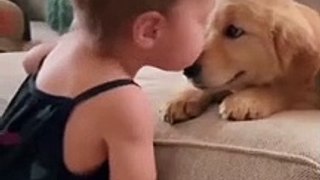 pure pure pure love !❤️ dog loves babies . Dog Playing With Baby #dogshorts #cutedogshort #dogs