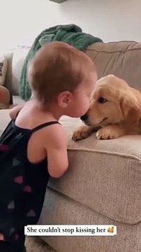 pure pure pure love !❤️ dog loves babies . Dog Playing With Baby #dogshorts #cutedogshort #dogs