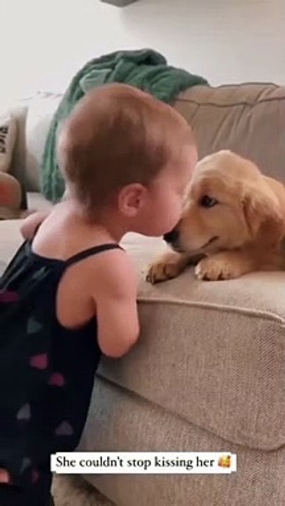 pure pure pure love !❤️ dog loves babies . Dog Playing With Baby #dogshorts #cutedogshort #dogs