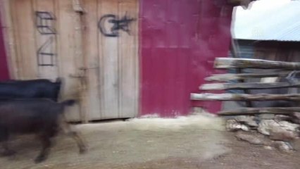 KAHRAMANMARAŞ - Karantinadaki iki mahalleye gıda yardımı yapıldı